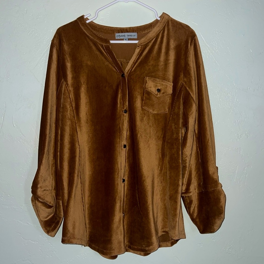 Absolutely Famous Button Down